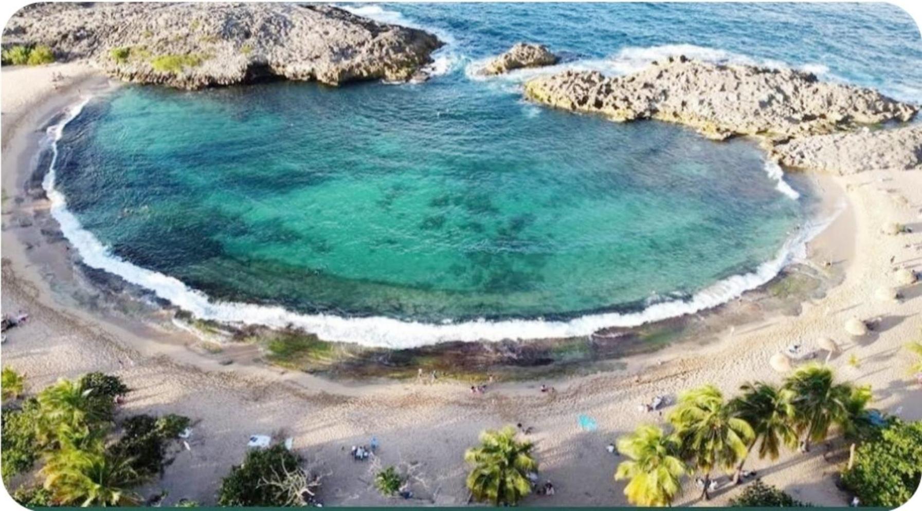 Casa Palmera Vega Baja Exterior foto